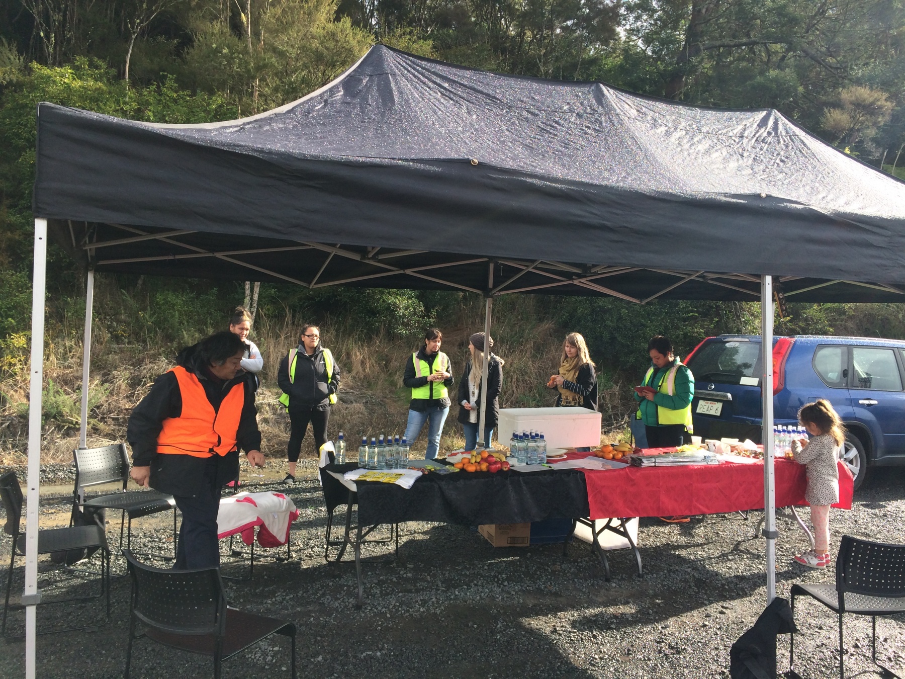 Fatigue Driver Reviver Stops Northland Road Safety