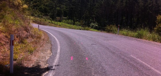 Crash Scene Marking
